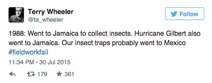 Insects