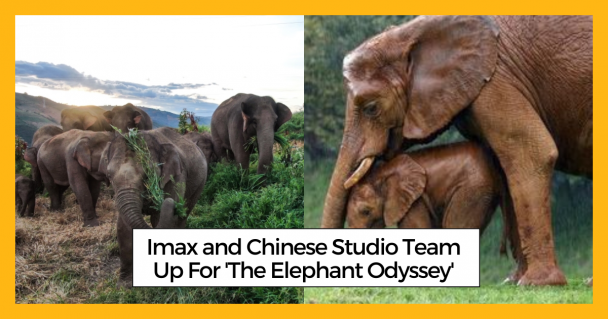 Imax and Chinese Studio Team Up For 'The Elephant Odyssey'